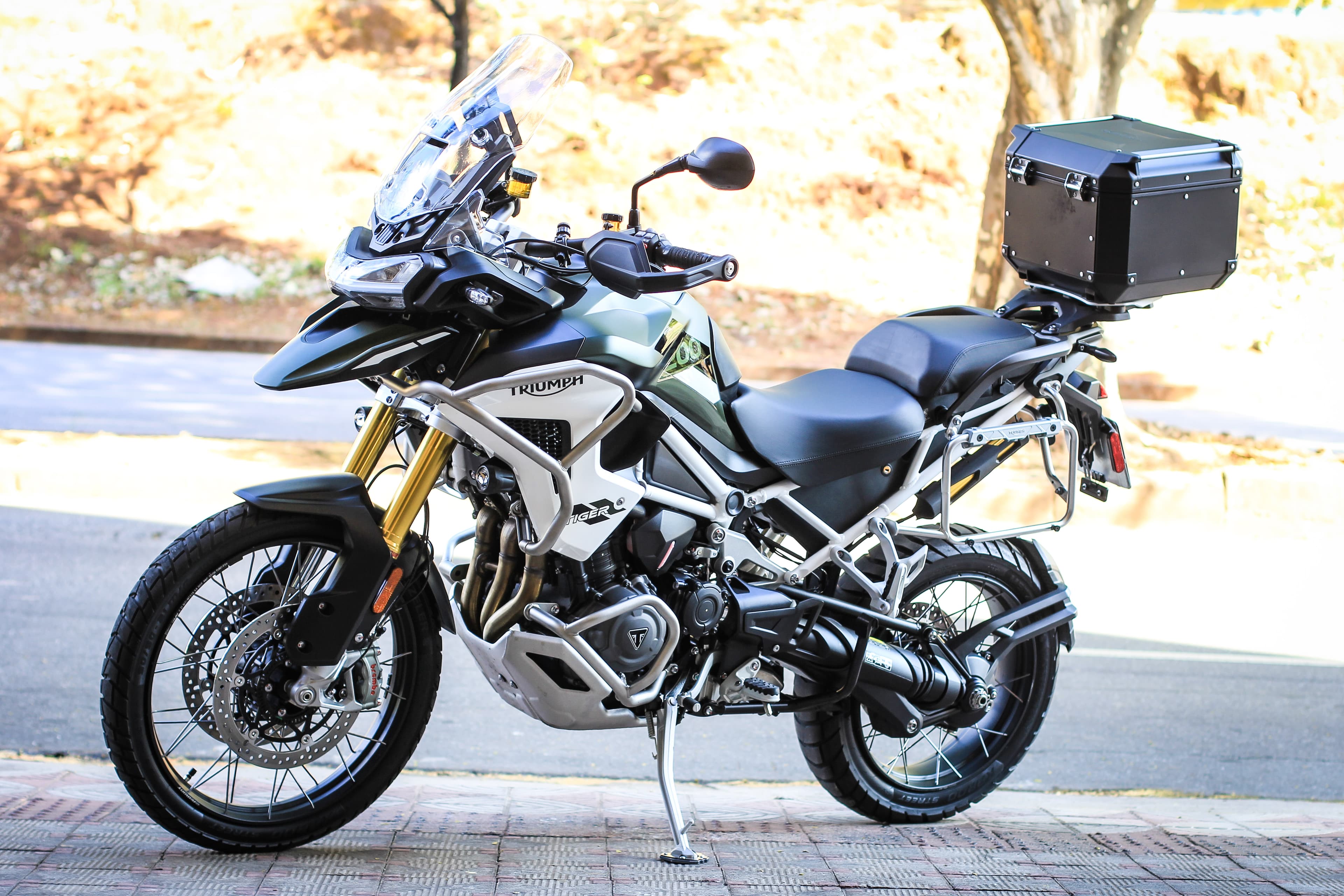 Tiger 1200 Rally PRO - Imagem 3
