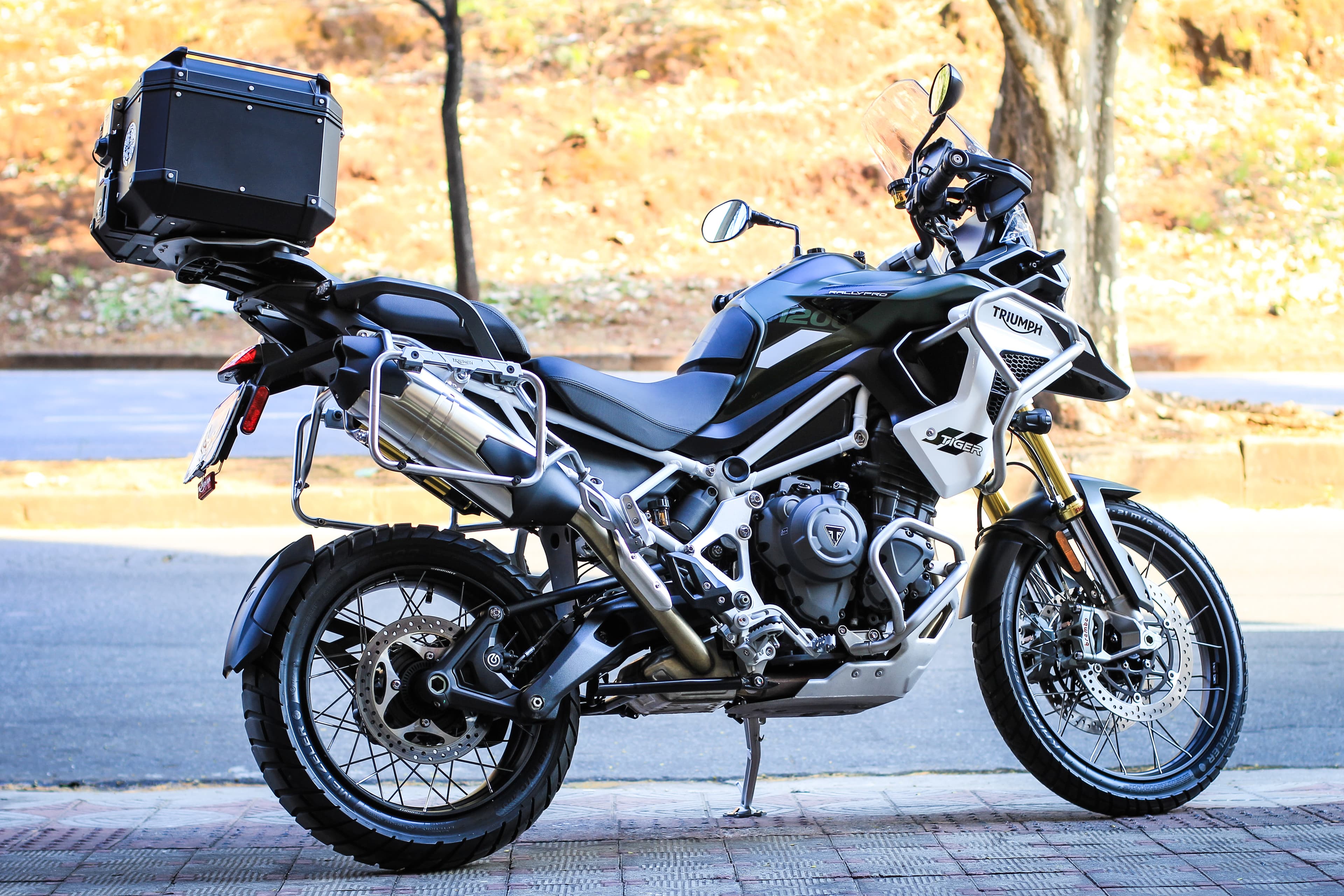 Tiger 1200 Rally PRO - Imagem 4